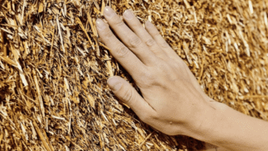 Sustainable Materials